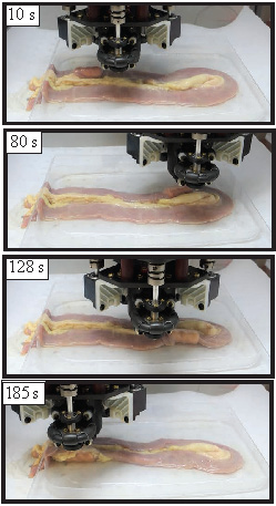 A screw-type magnetic capsule being driven through cow intestines using a permanent-magnet robotic end-effector